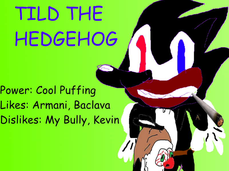 I d like anyone to help me with this sonic oc 124820384 added